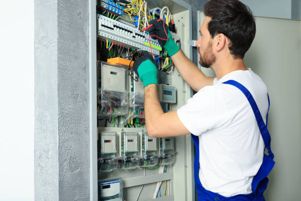 Best Electrical System Inspection  in Somerset, WI