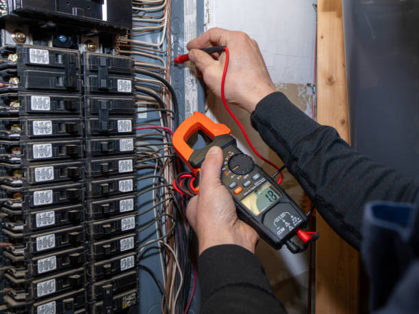 Best Ceiling Fan Installation Electrician  in Somerset, WI